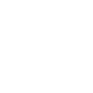 Seo+